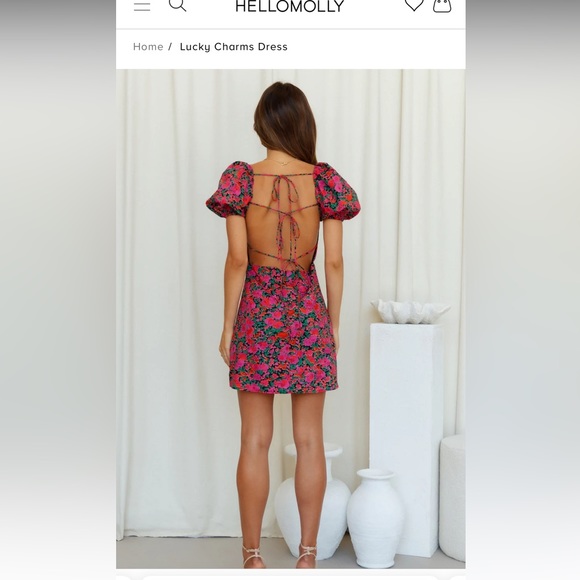 Hello Molly Dress - Size small - only worn once - Picture 2 of 3
